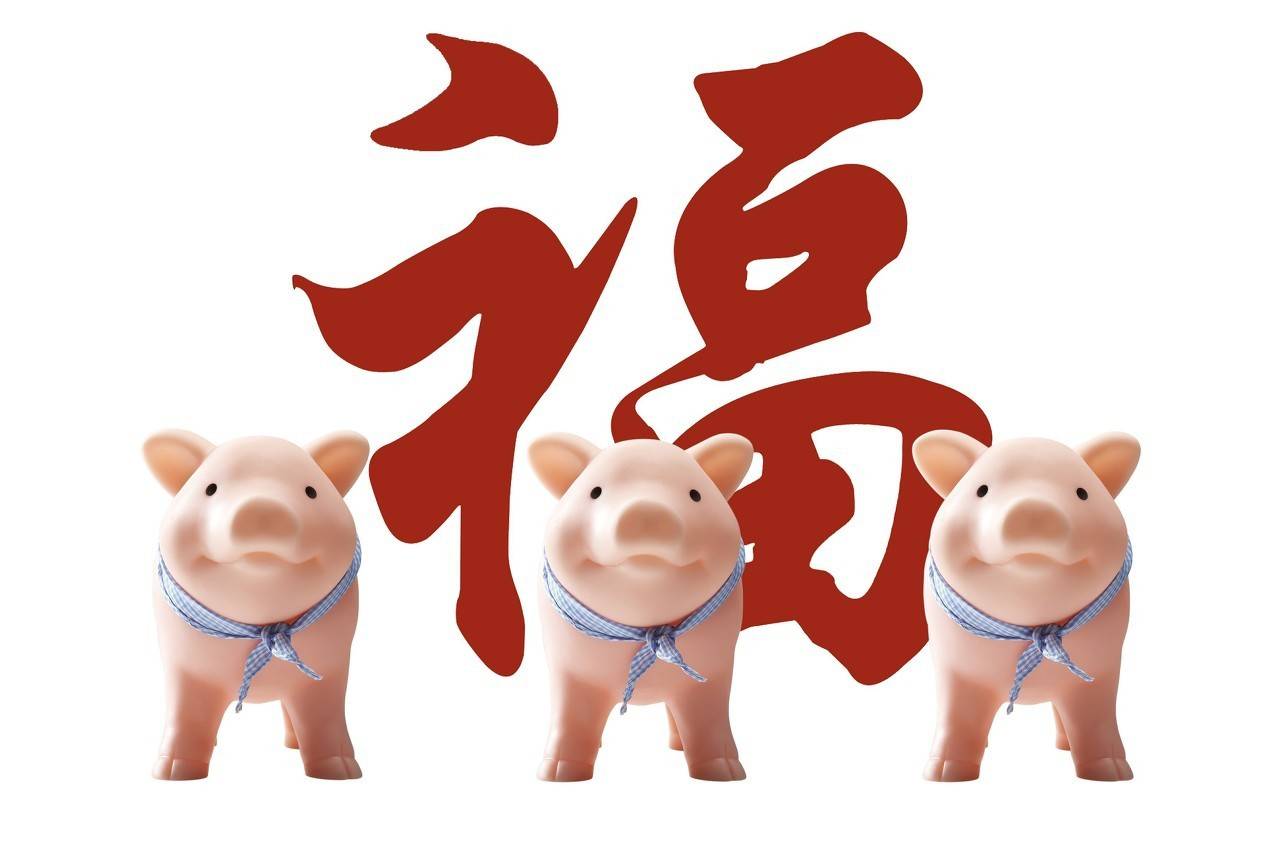 属猪人的劫数年龄段